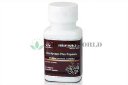 Cordyceps Plus