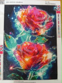 Obrázek Dvě růže